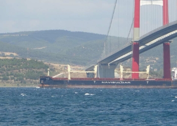 İngiltere'ye giden tahıl gemisi Çanakkale'de