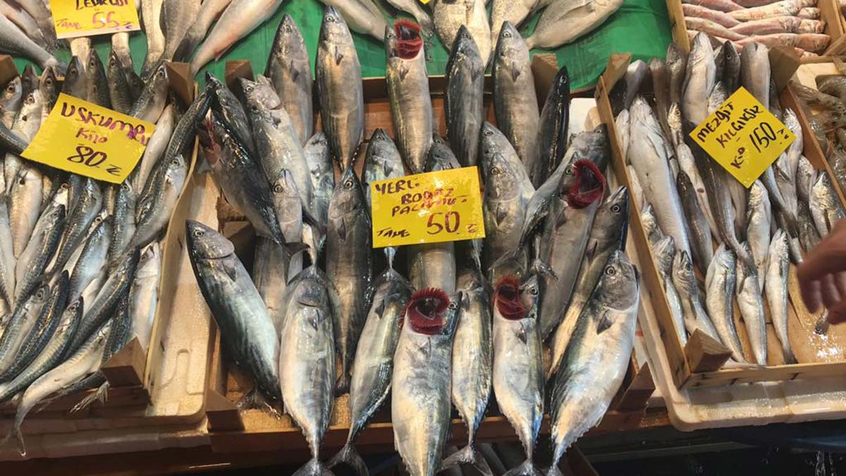 İstanbul'da sezonun ilk palamutları tezgaha çıktı 