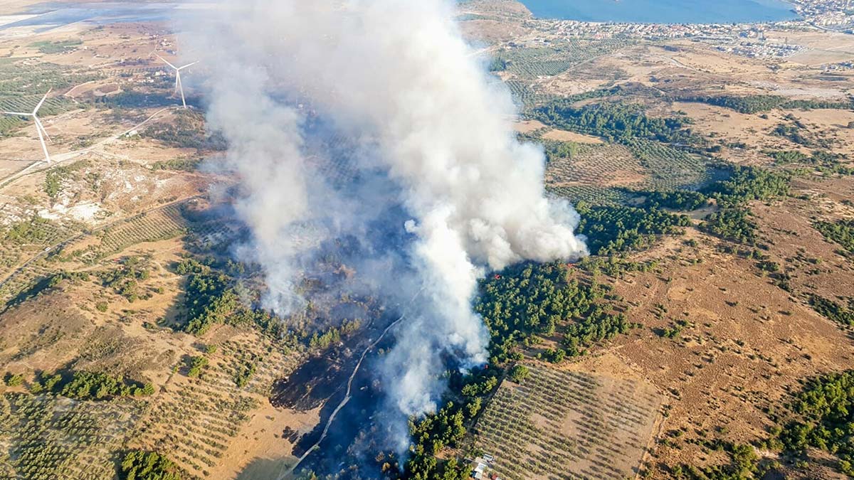 İzmir'de, tarım alanında yangın