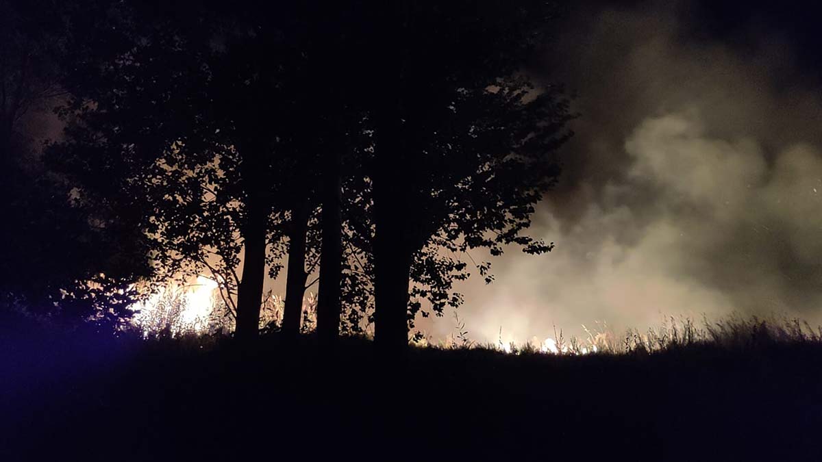 İznik Gölü kenarındaki sazlık alanda yangın çıktı