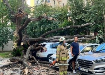 Kadıköy'de çınar ağacı araçların üzerine devrildi