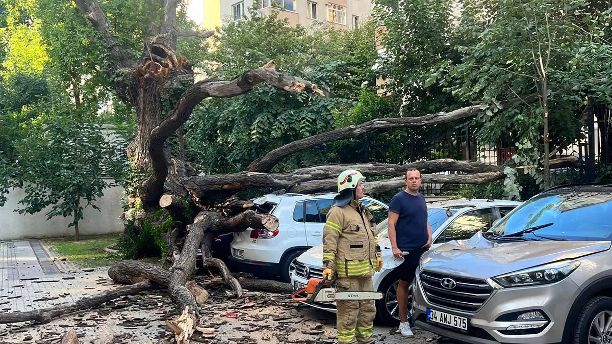 Kadıköy'de çınar ağacı araçların üzerine devrildi