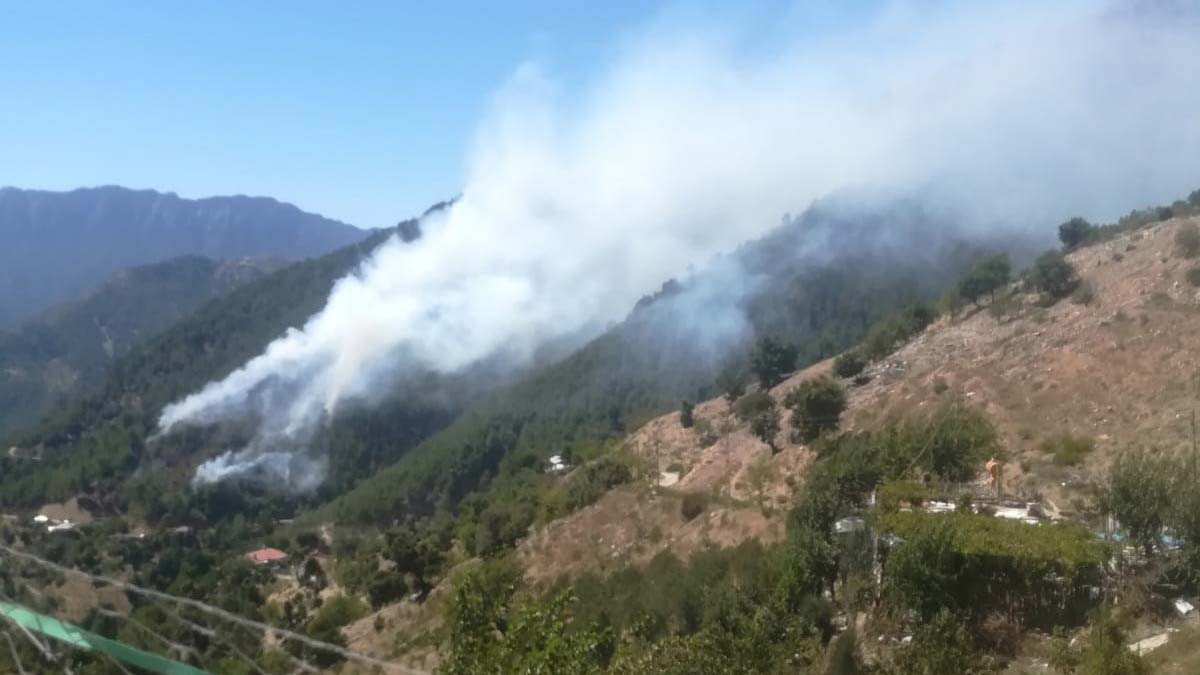 Kahramanmaraş'taki yangının bilançosu açıklandı