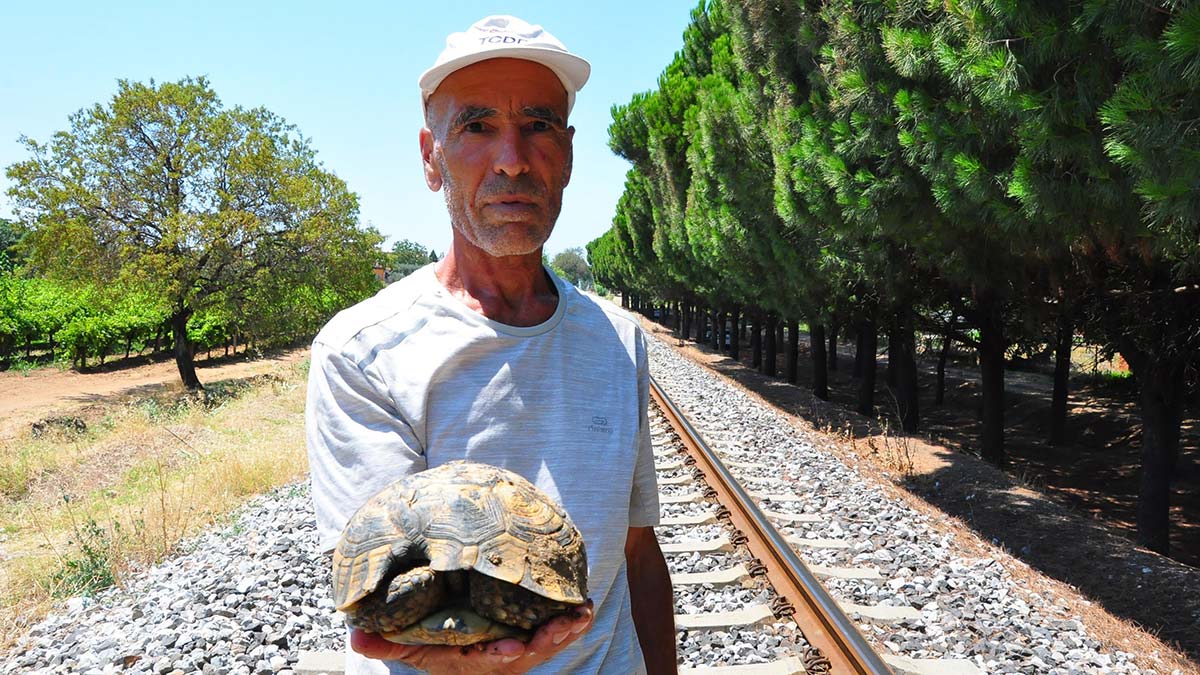 Kaplumbağa kurtarıcısı