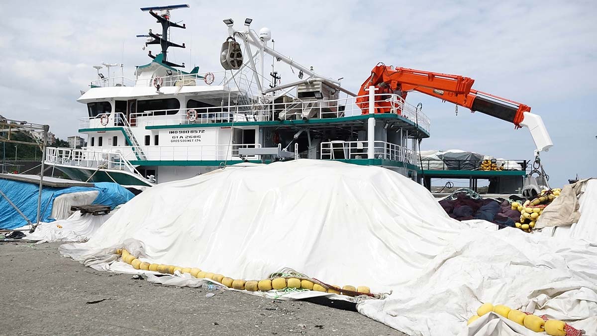 Karadeniz'de yeni balık avı sezonu hazırlığı