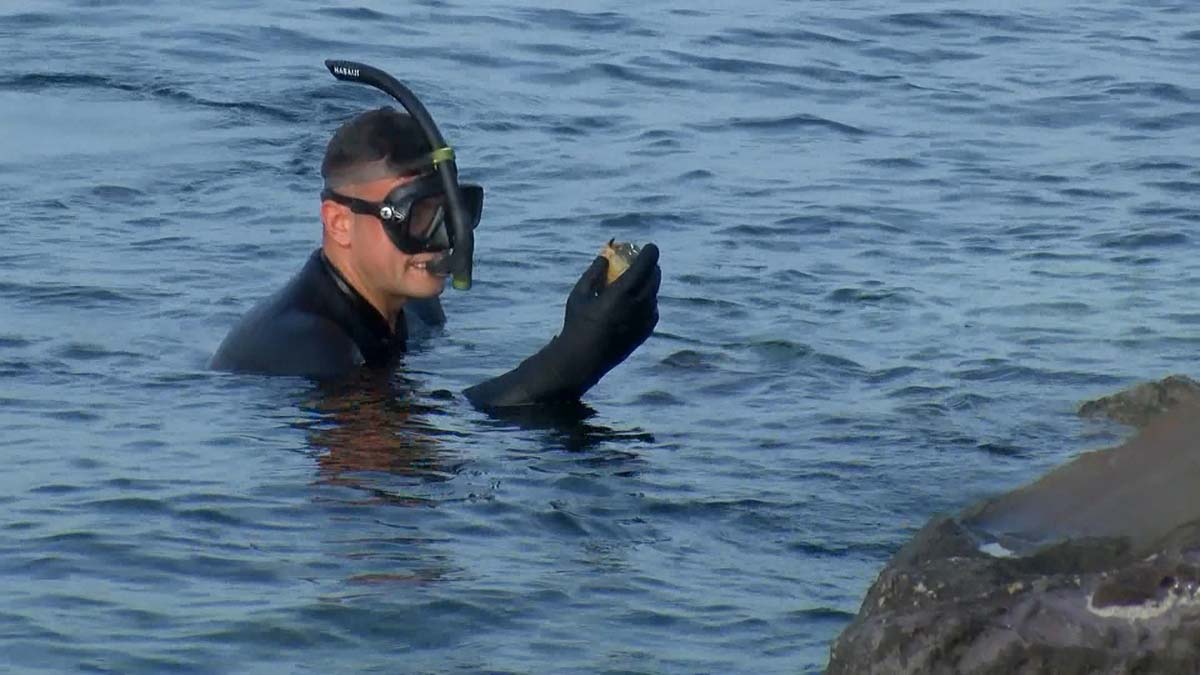 Kartal'da denizdeki el bombası çıkarıldı