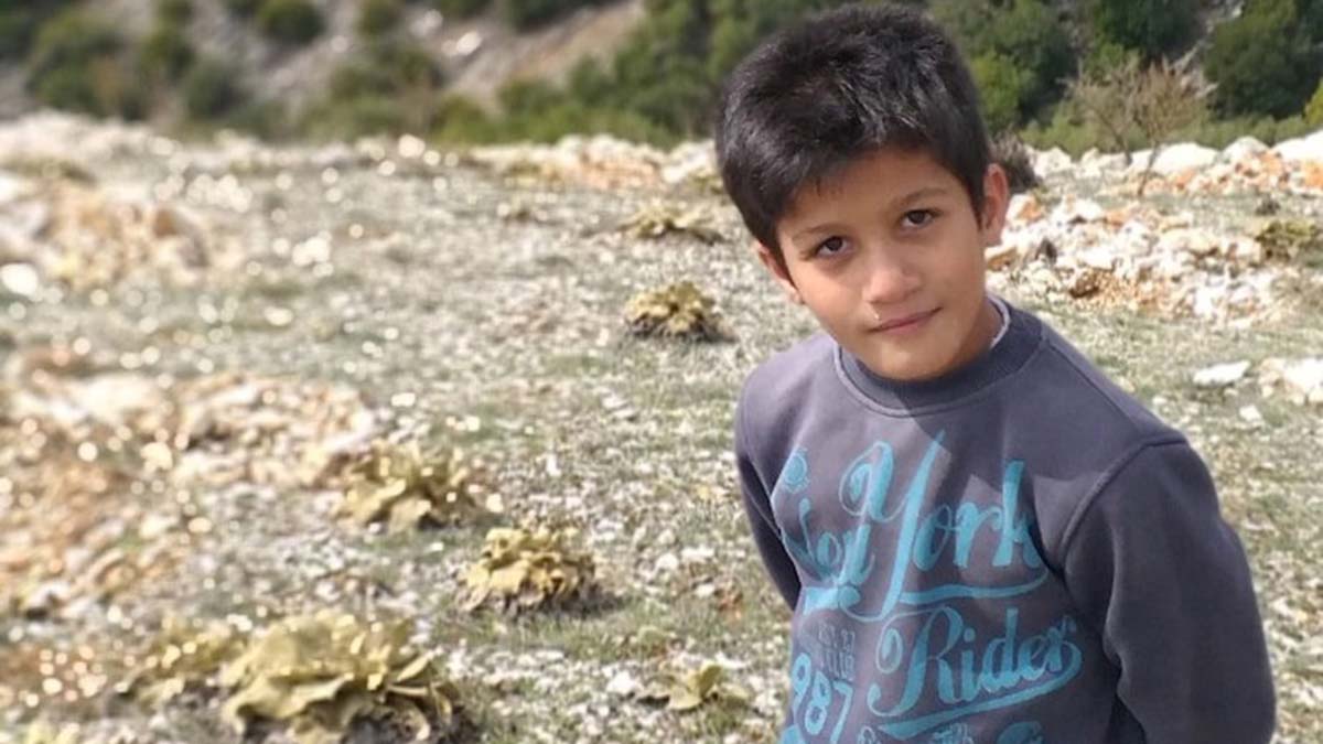 Kayısı ağacından düşen Çınar, kurtarılamadı