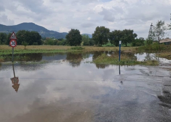 Kocaeli'nde yağmur ekili arazileri vurdu