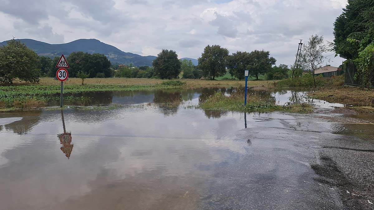 Kocaeli'nde yağmur ekili arazileri vurdu