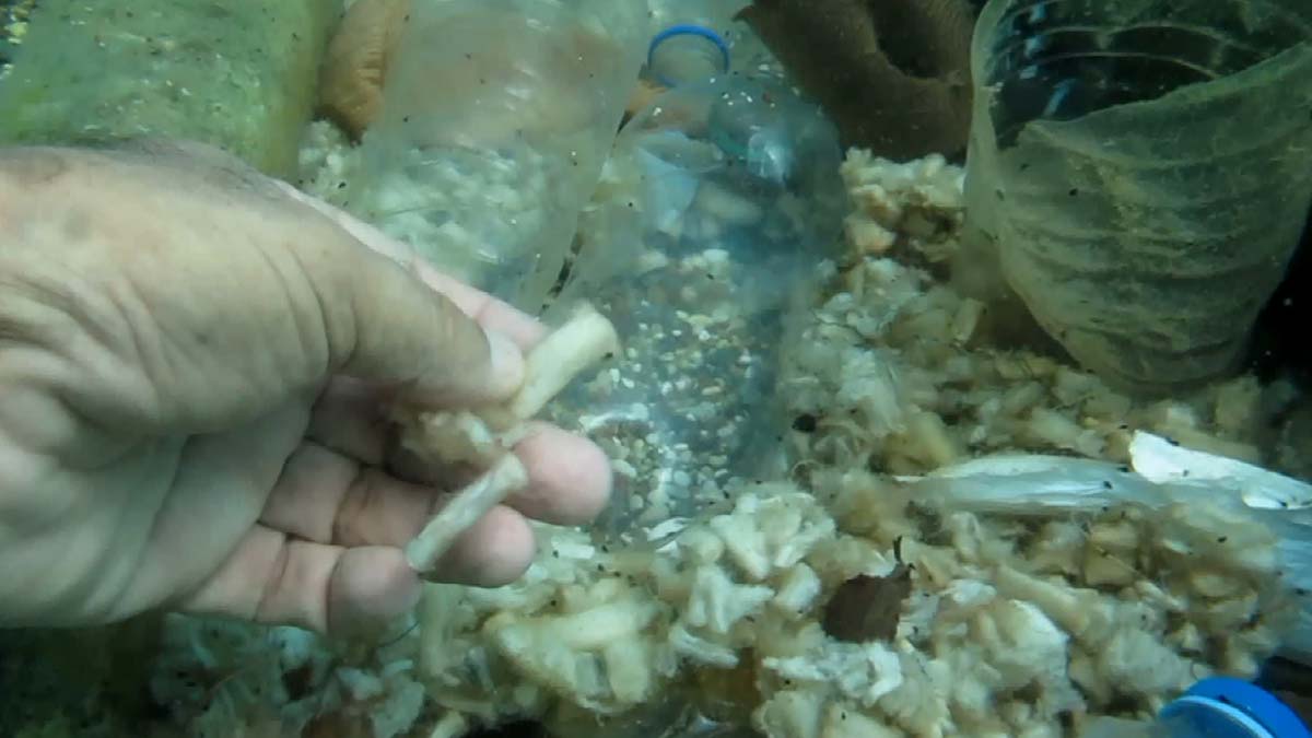 Konyaaltı Sahili'nde izmarit kirliliği