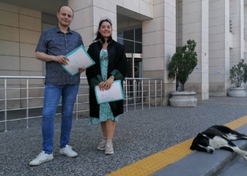 Köpeğe çarpıp kaçan sürücüye 4 yıl hapis istemi