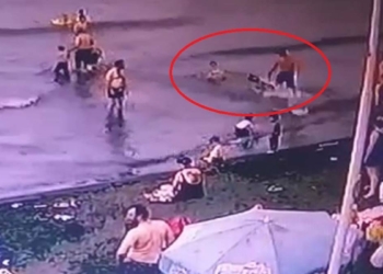 Köpek denizde yüzen çocuğa saldırdı