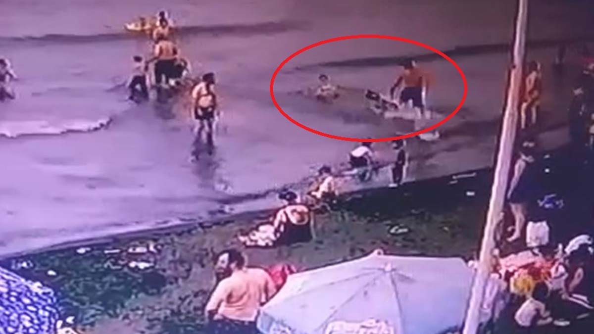 Köpek denizde yüzen çocuğa saldırdı