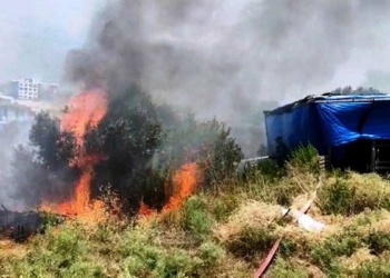Kuşadası'nda zeytinlikte çıkan yangın söndürüldü