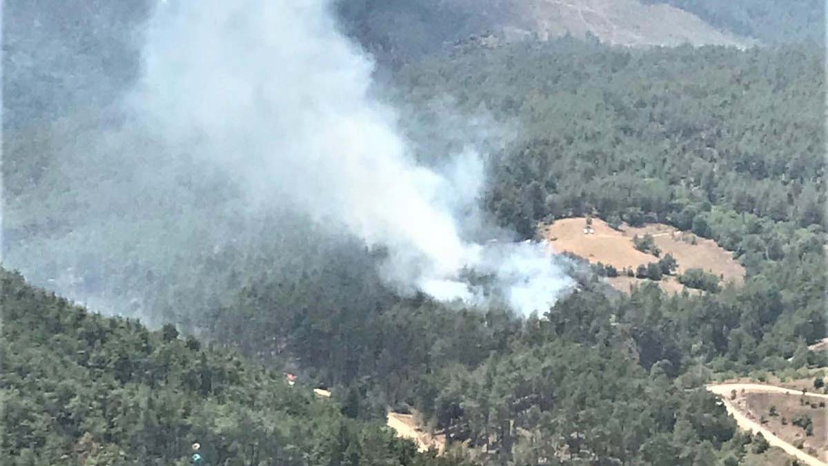 Kütahya'da orman yangını