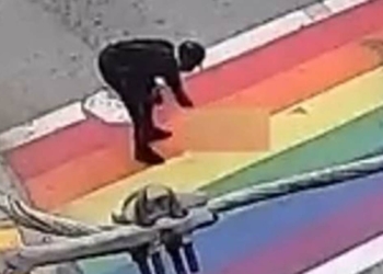 LGBT renklerindeki yaya geçidine gamalı haç çizdi