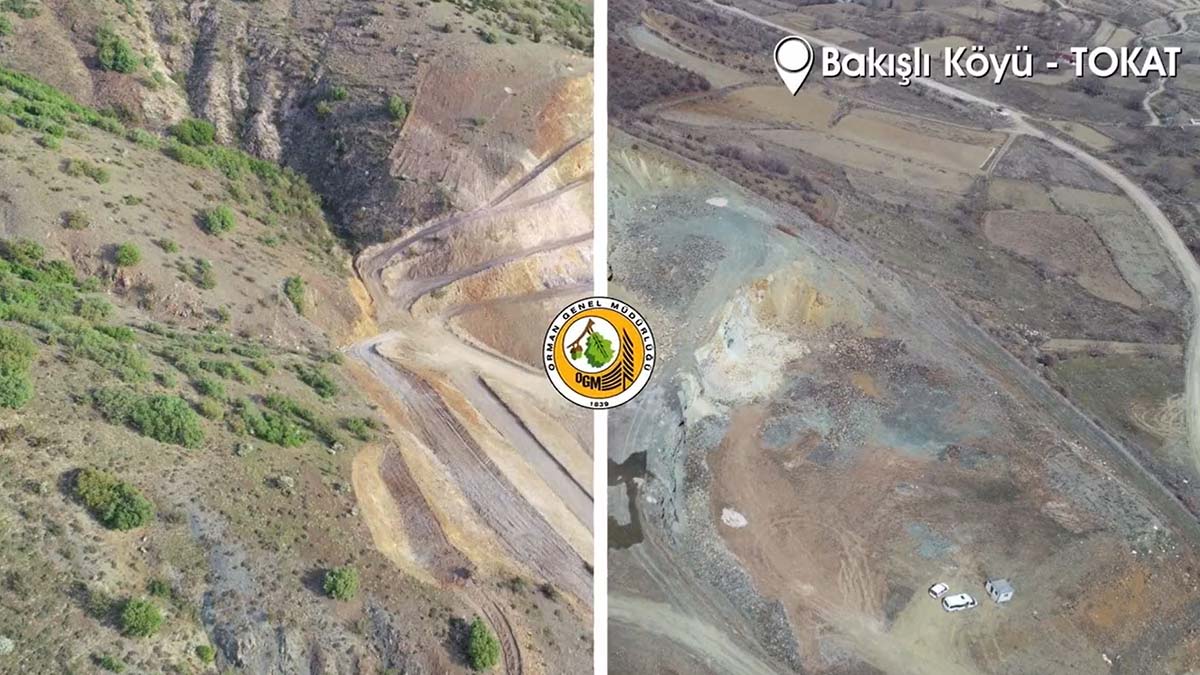 Maden sahaları ağaçlandırılıyor