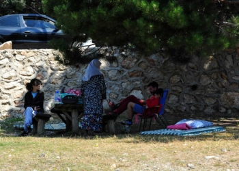 Mangal yasağı yaban hayatı canlandı