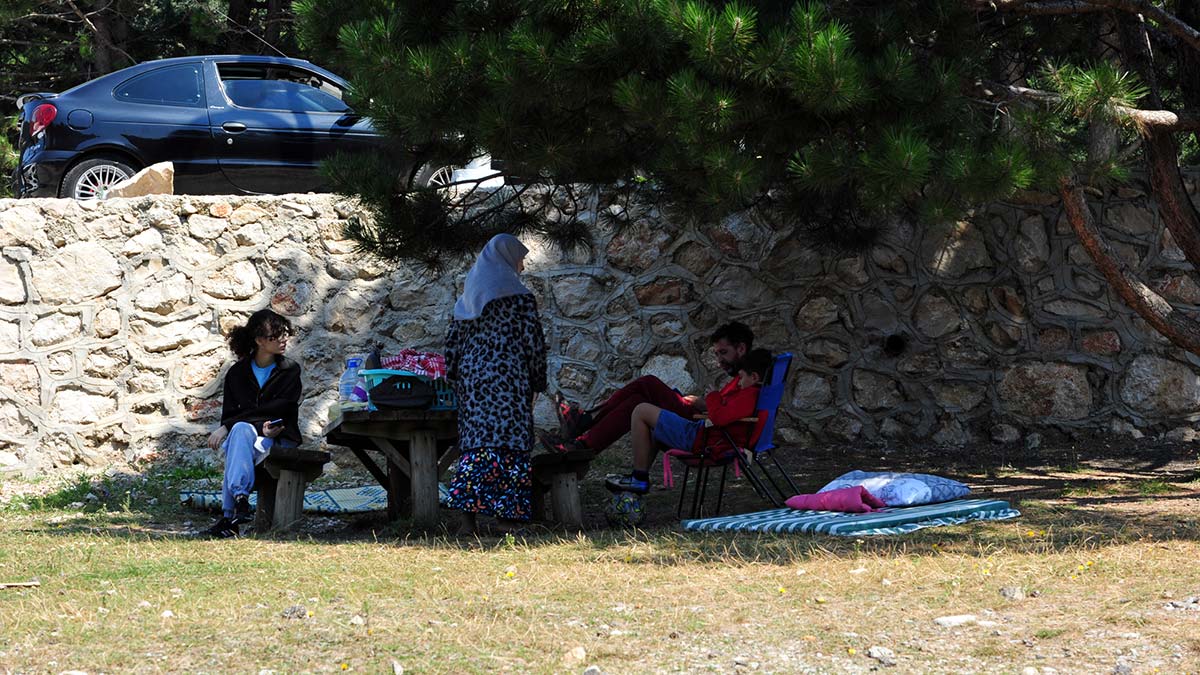 Mangal yasağı yaban hayatı canlandı