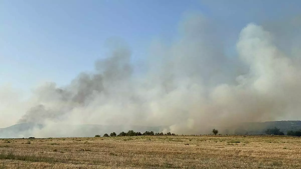 Manisa kulada orman yangini 1 - öne çıkan - haberton