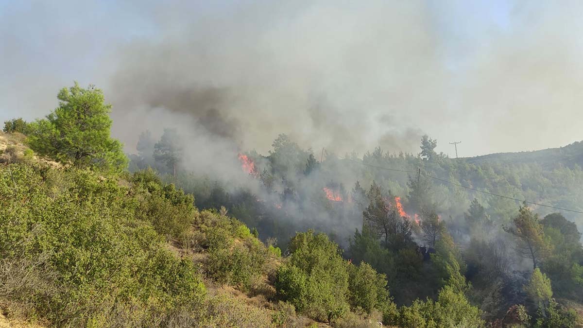Manisa Kula'da orman yangını