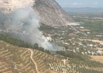 Manisa'da 2 ilçede orman yangını