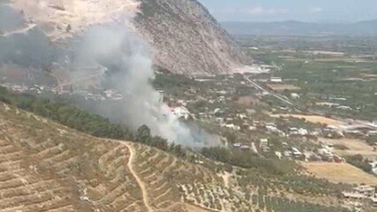 Manisa'da 2 ilçede orman yangını