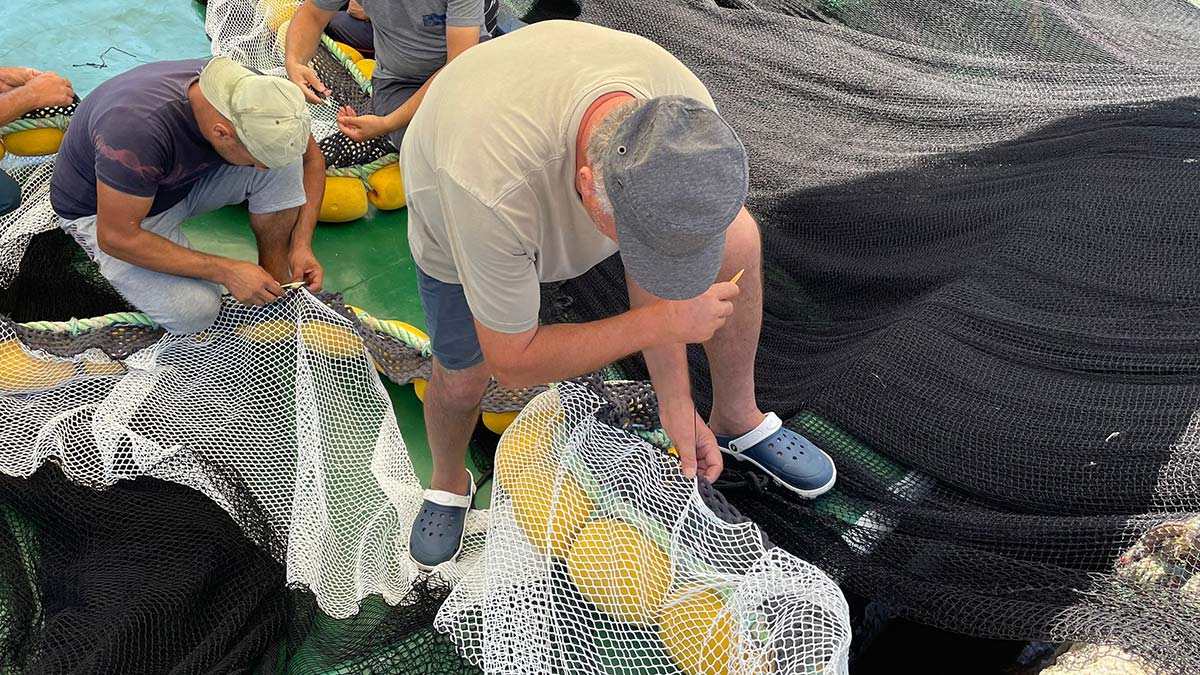 Markasız avlananın ağına el konulacak