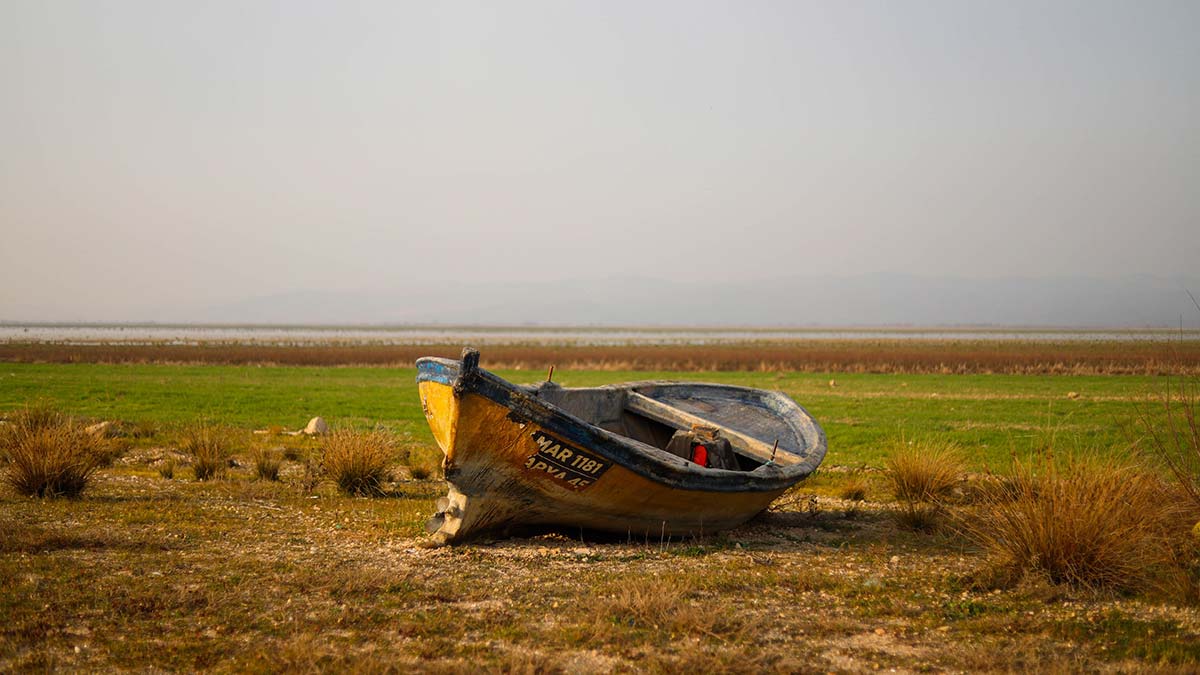 Marmara Gölü su tutana kadar TİGEM'de