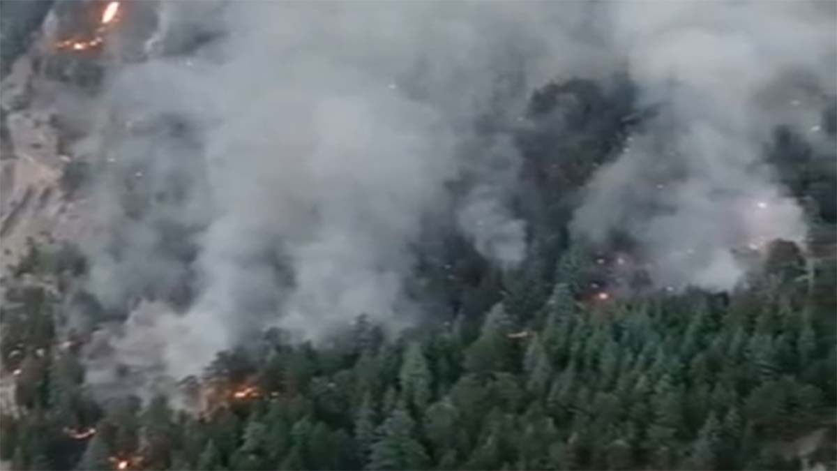 Mersin'deki orman yangını 2'nci gününde