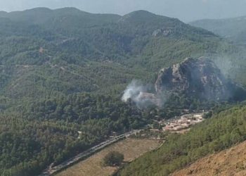Muğla Marmaris'te orman yangını