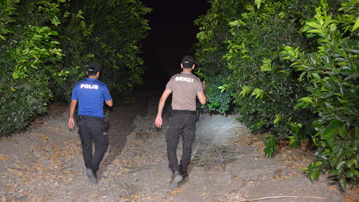 Narenciye bahçelerinde asayiş uygulaması