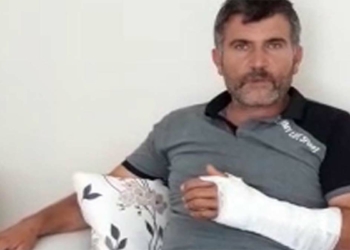 Öldüğünü zannettiği ayının saldırısına uğradı
