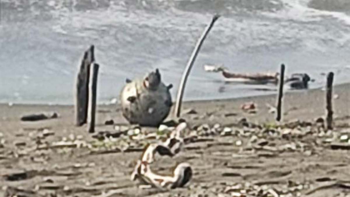 Ordu'da sahile vuran deniz mayını imha edildi