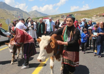 Ovit Yaylası'nda festival heyecanı