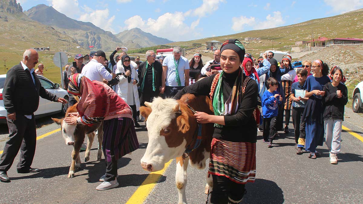 Ovit Yaylası'nda festival heyecanı