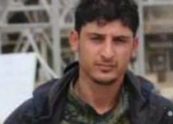 PKK yöneticisi Mıhyedin Gulo etkisiz hale getirildi