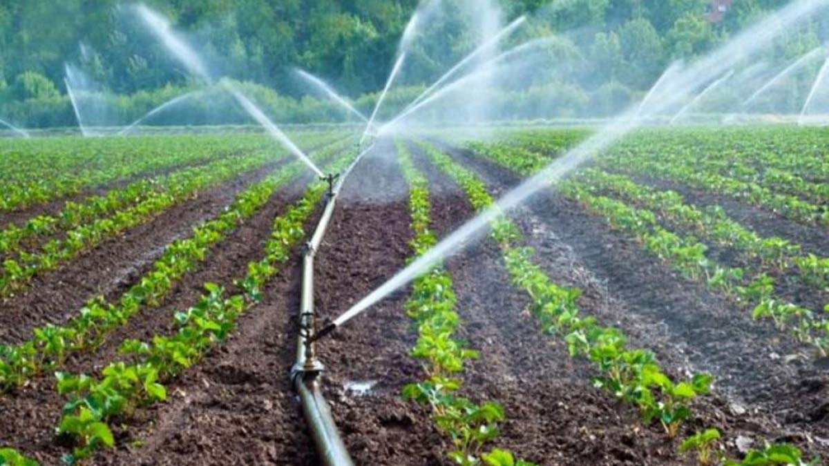 Pancar sulama avansı ödemeleri aktarılıyor