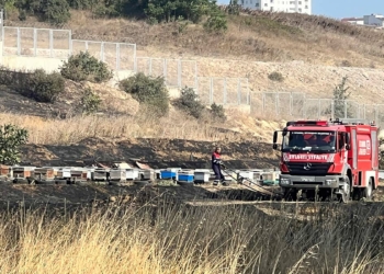 Pendik'te makilikte yangın çıktı