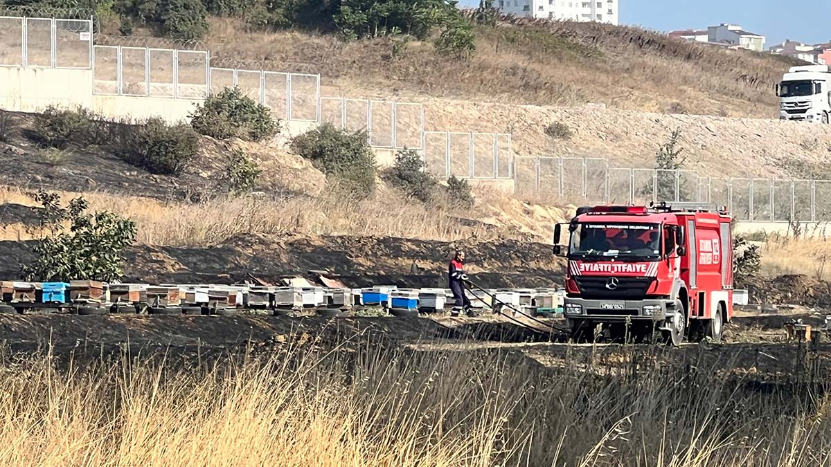 Pendik'te makilikte yangın çıktı