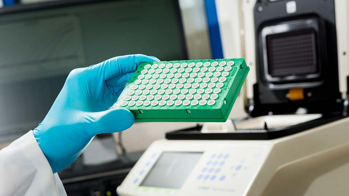 Salmonella tehdidini önlemenin yolu