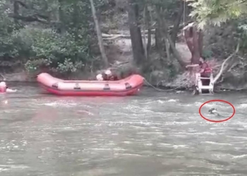 Rafting rehberi, akıntıya kapılan köpeği kurtardı