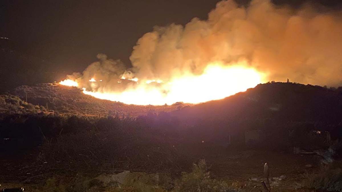 Söke'de orman yangını
