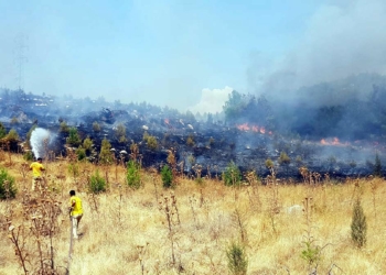 Soma'da orman yangını; 5 dönüm alan zarar gördü