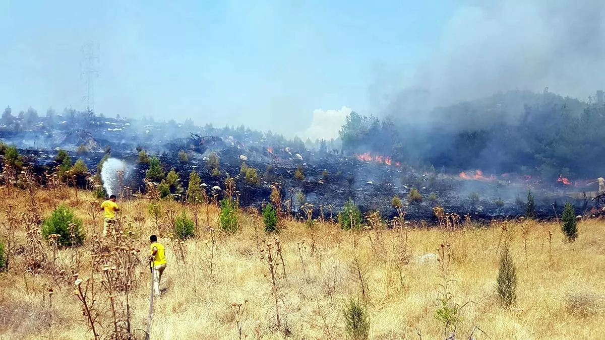 Soma'da orman yangını; 5 dönüm alan zarar gördü