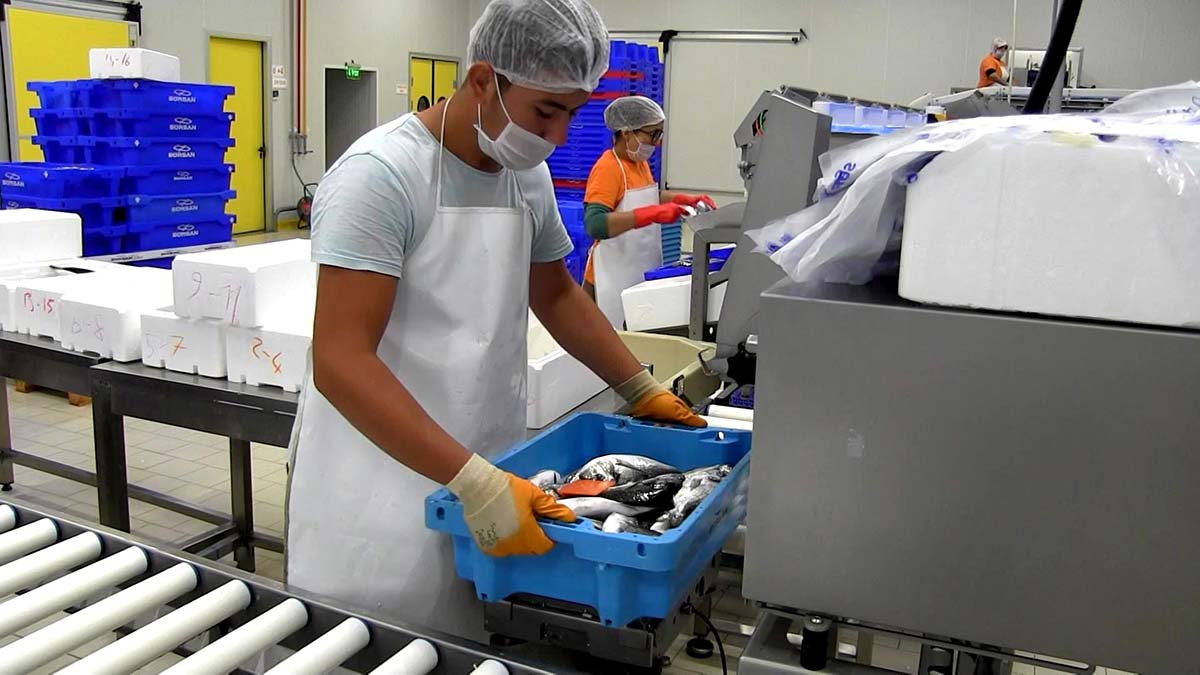 Su ürünleri ihracatında 2023 hedefi erken aşıldı