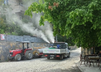 Sultangazi'de haşerelerle mücadele devam ediyor