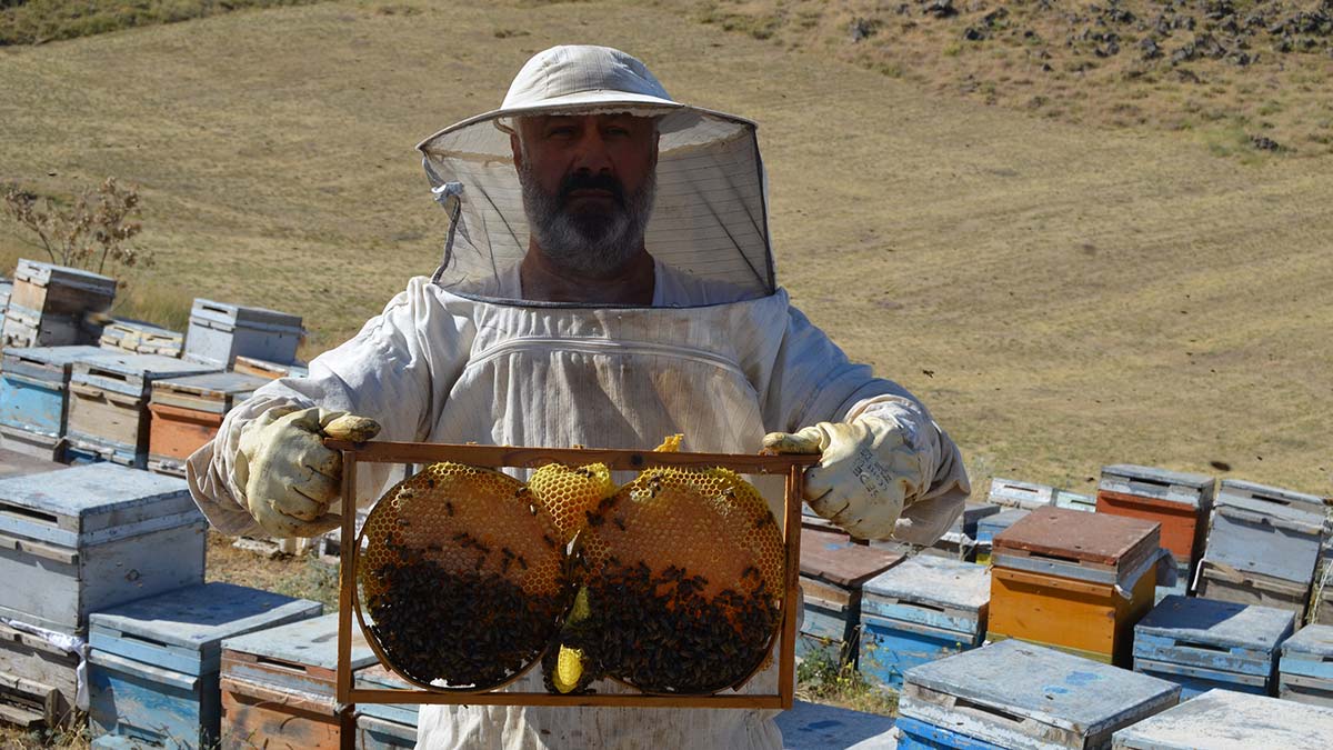 Süphan Dağı'nın 2 bin 300 rakımında bal üretimi