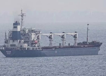 Tahıl taşıyan 2 gemi daha Ukrayna'dan ayrıldı