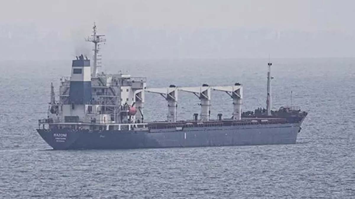 Tahıl taşıyan 2 gemi daha Ukrayna'dan ayrıldı
